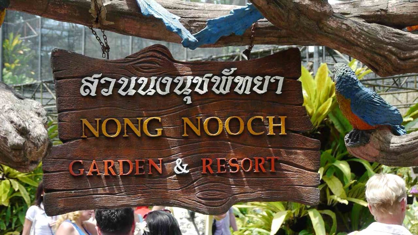 thailand-nongnooch2